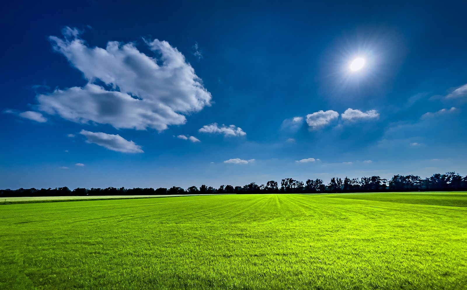 Weites grünes Feld unter blauem Himmel mit Wolken